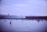 Hudson River New Jersey view of NYC skyline.