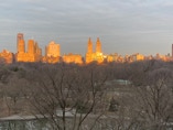 Winter sunrise illuminates Central Park West.