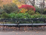 Autumn seating in Central Park.