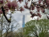 Towering Central Park South tower framed by cherry blossoms.